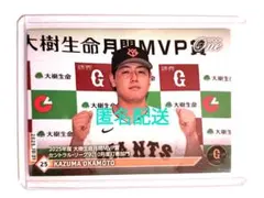 Item thumbnail for item 80a08af1-de66-44eb-bc46-c678208d9674