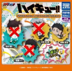 ぶちマス! ハイキュー!! レリーフフィギュアマグネット 赤葦京治