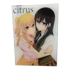藍原柚子 藍原芽衣 アクリルボード サブロウタ citrus 15周年 藍原柚子＆藍原芽衣 描き下ろしアクリルフィギュア - メルカリ