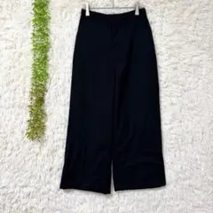 E136 美品ハレ センタープレス ワイドストレートパンツ ブラック Fのサムネイル
