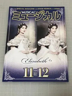 【輸入DVD】エリザベート　ウィーンキャスト版    日本語字幕なし  DVD エリザベート ウィーン・キャスト -コレクターズ・エディション