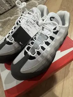 ナイキ エアマックス95 OG ビッグバブル "グラナイト" 29.5cm