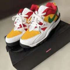 Supreme × Nike Air Cross Trainer 3 Low