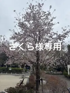 ラリマー天然石ブレスレット17センチ長さ調整可10ミリ珠三大ヒーリングストーン