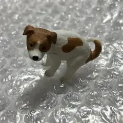 ふんばり〜ぬ　ジャックラッセルテリア