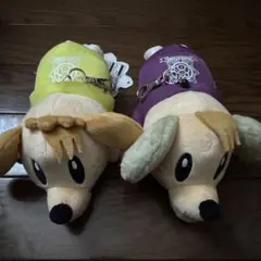 GENERATIONS パスケース