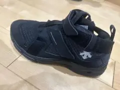 DESCENTE