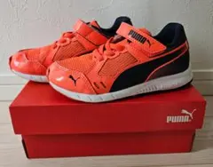 PUMA オレンジ スニーカー ベルクロ17.5cm