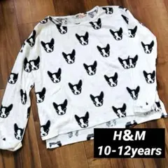 Item thumbnail for item 24d76447-ad5d-4aec-802f-9cf4c0f65d44