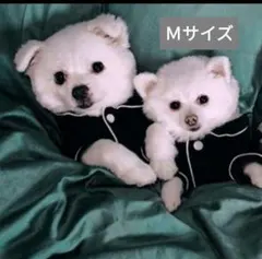 犬服 ペット服 かわいい ドッグウェア 黑色 Mサイズ ルームウェアのサムネイル