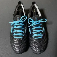 モレリアネオ3β 27㎝