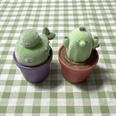 フッサフサボテンZOO 2個セット