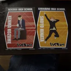 ハイキュー　まねきねこ　カード　特典　孤爪研磨　日向翔陽