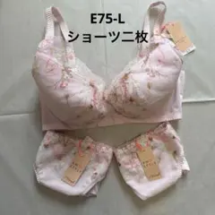 トリンプ　アモスタイル　ラインアートステッチ　ブラ＆ショーツ　E75-Lのサムネイル