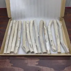 流木切れ端　no.280