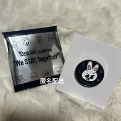 【匿名配送】straykids リノ　ランダムピンバッチ　展覧会