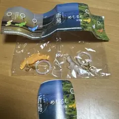 新潟 めじるしアクセサリー