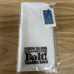 矢沢永吉 Do It! 2025 東京ドーム SS席限定グッズ(未開封)のサムネイル