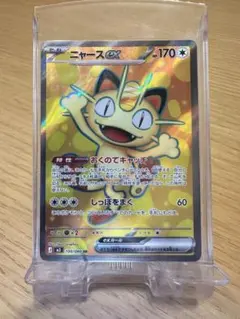 ニャース ポケモンパン PROMO 106/XY-P じょうきげん - メルカリ
