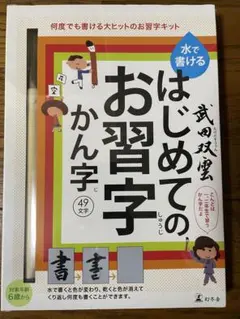 ⭐️新品・未開封⭐️ 水で書ける　はじめてのお習字　かん字　武田双雲