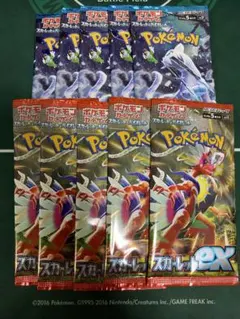 スカーレット　スノーハザード　10パック