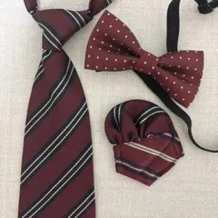 ネクタイ&チーフと蝶ネクタイセット①