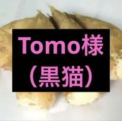 Tomo様 京都山城産　朝掘り筍2kg