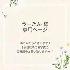 うーたん✦即購入無言️⭕️様 おまとめ2点【☆】
