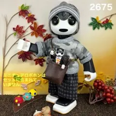 ロボホン 服