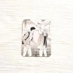 美しい彼 海外 特典