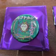 トーキョーちいかわホログラム缶バッチコレクション　カブトムシ