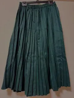 earth music&ecology ロングスカート