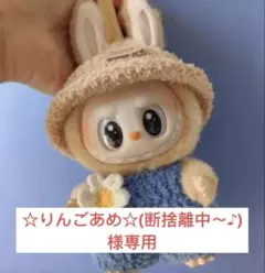 ☆りんごあめ☆(断捨離中～♪)様専用