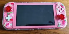 Nintendo Switch Lite 本体　ケース付き