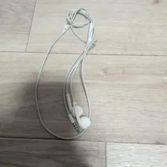 Earpods