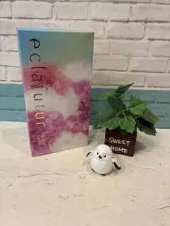 ALBION Eclatutur 60 Kit