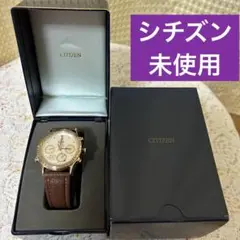 Item thumbnail for item 21f34c12-b2ed-47c8-af56-54c701b2e32c