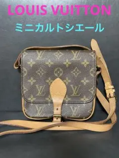 極美品！ ルイヴィトン エピ カルトシエール ショルダーバッグ 7420aa