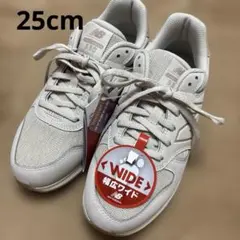 WW550AA5 ニューバランス　スニーカー　25センチ