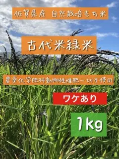 ■訳あり■自然栽培古代米緑米もち米【玄米】1kg 訳あり 佐賀県産 天日干しのサムネイル