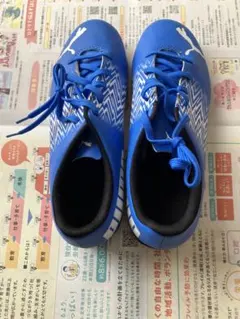 PUMA プーマ スポーツシューズ 靴 (青色 ブルー)24.5cm