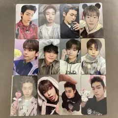 82MAJOR 対面 ヨントン トレカ ドギュン まとめ売り