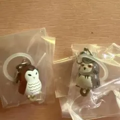 ハイキュー つながリングチャーム ボクトフクロウ アカアシフクロウ