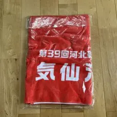 第39回つばきマラソン