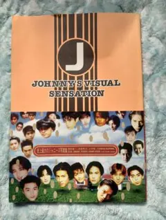 JOHNNY'S VISUAL SENSATION