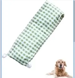 Item thumbnail for item 1c3eae89-2b65-4f92-9bbd-7beb94dd8158