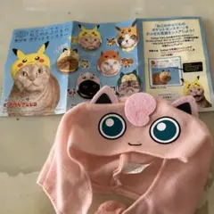 猫の被り物。ポケモン プリン