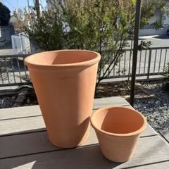 2026年最新】デローマ鉢の人気アイテム - メルカリ