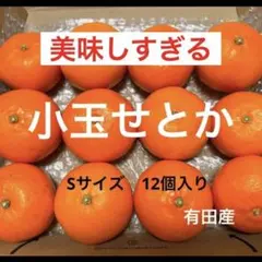 185)数量限定　甘すぎる　小玉　せとか　みかん　有田産　みかん　果物 数量限定 甘すぎる 小玉 せとか みかん 有田産 みかん 果物｜Yahoo