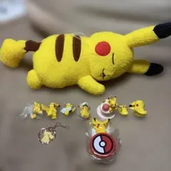 2023 ピカチュウ #120 ジムイベントキャンペーン - メルカリ